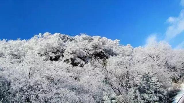 救援瓢虫宝宝